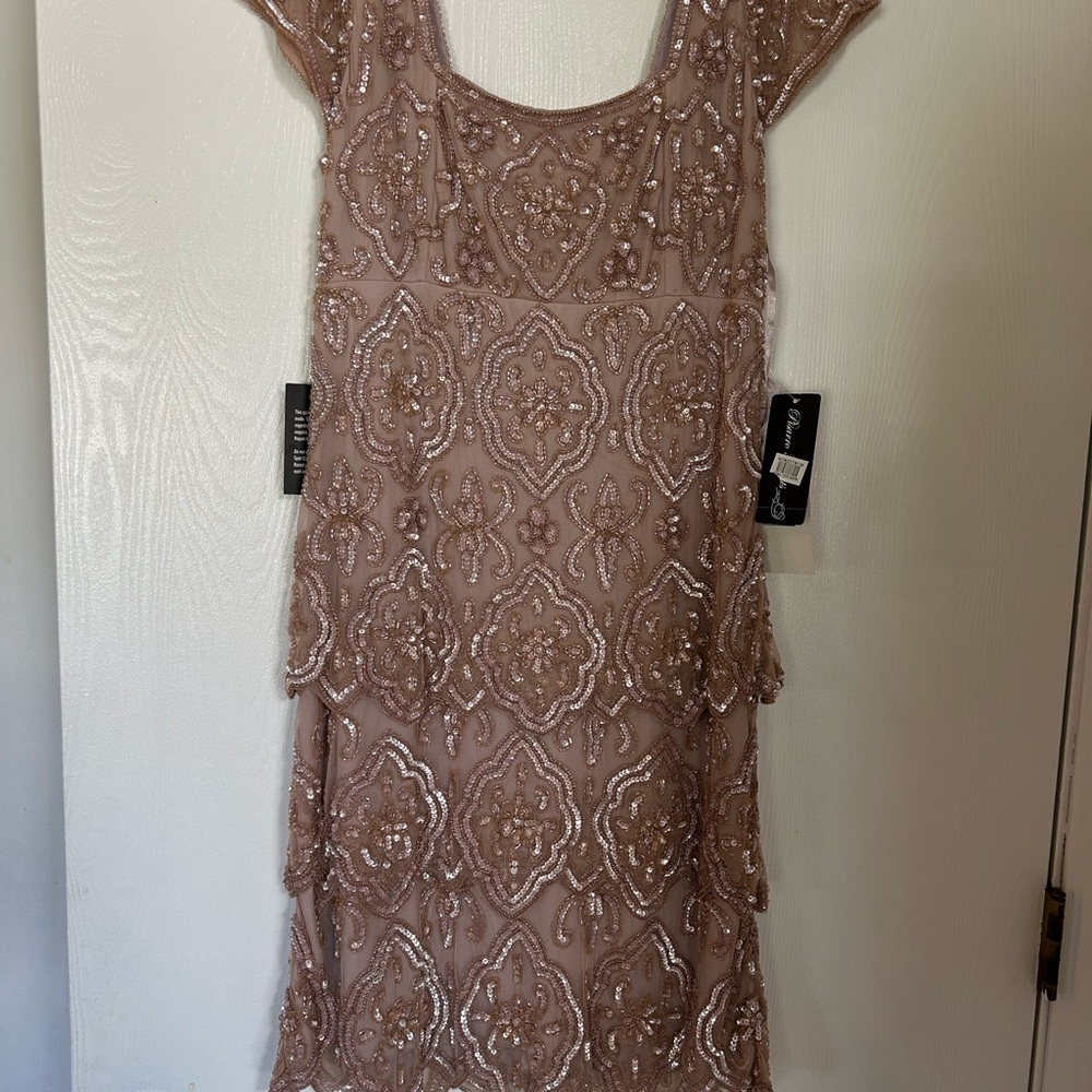 NWT Elegant Beaded Dress in blush